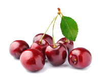 Cherries---check-back-soon